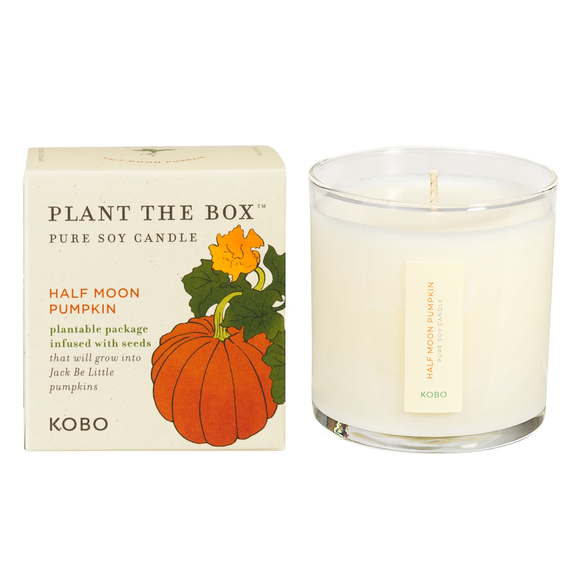 Primary Image of Half Moon Pumpkin Plant The Box Candle