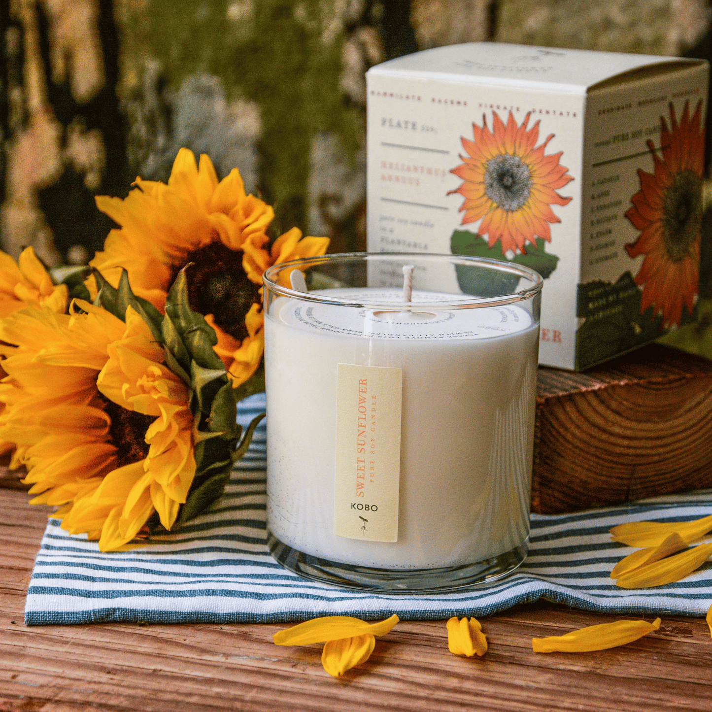 Alternate Image of Sweet Sunflower Plant the Box Candle