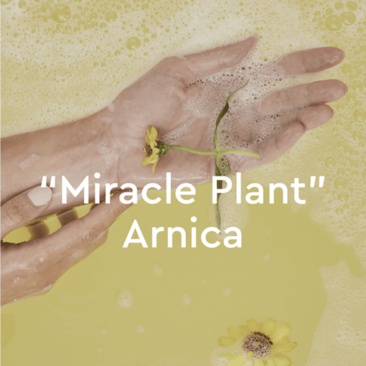 Alternate Image of Arnica Joint & Muscle Bath Oil