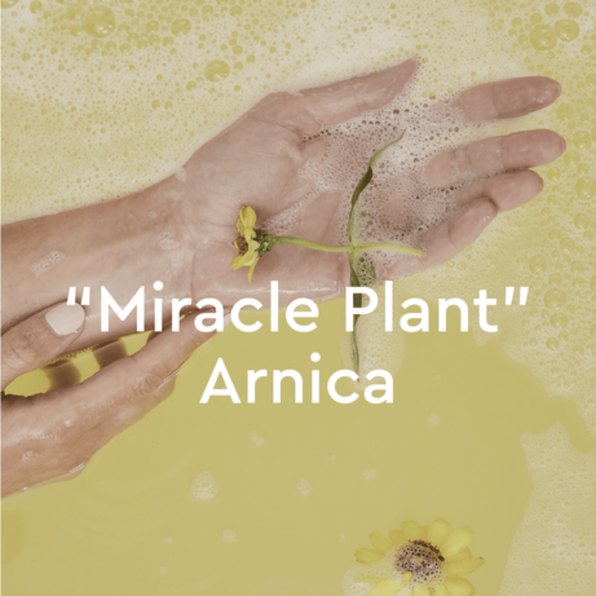 Alternate Image of Arnica Joint & Muscle Bath Oil