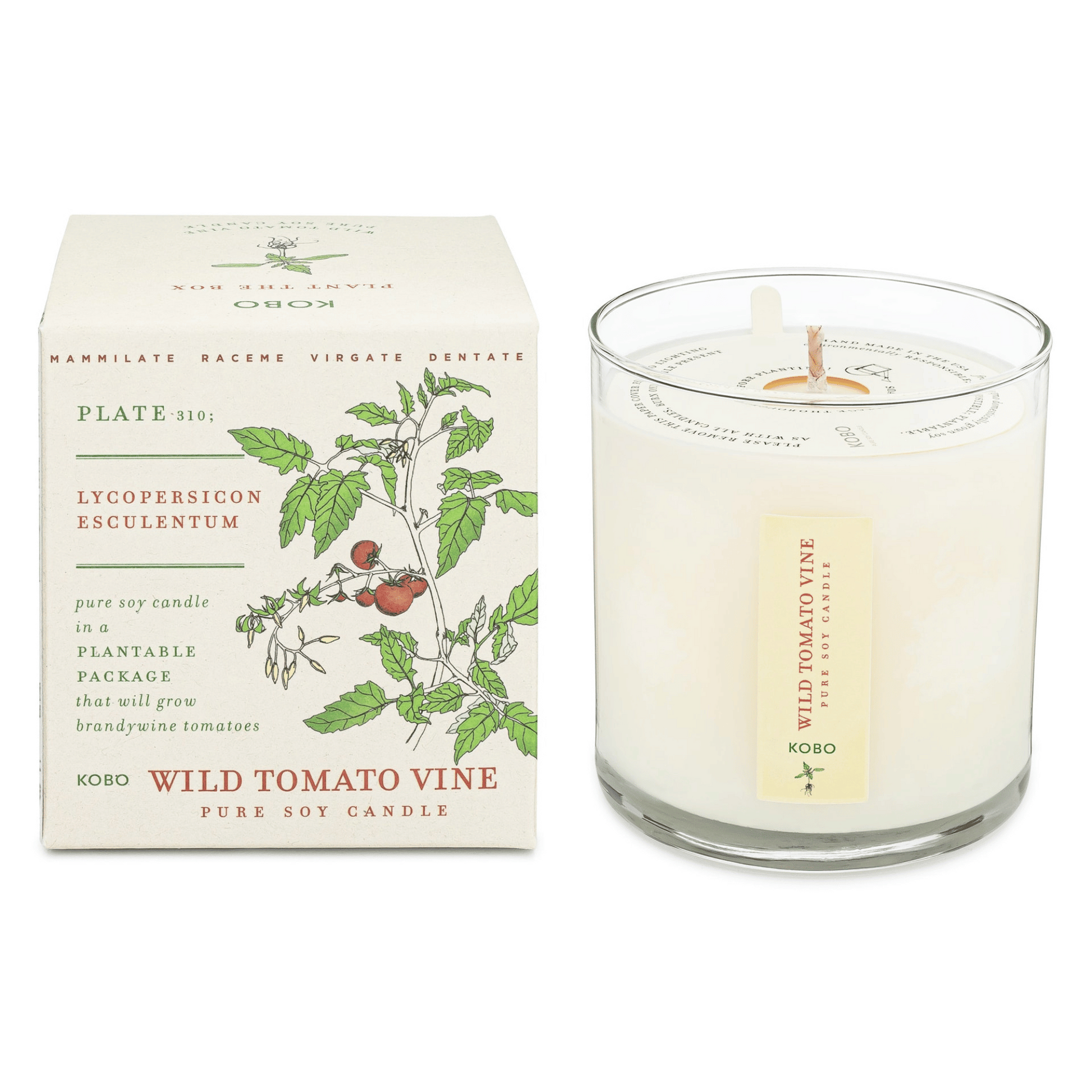 Primary Image of Wild Tomato Vine Plant the Box Candle