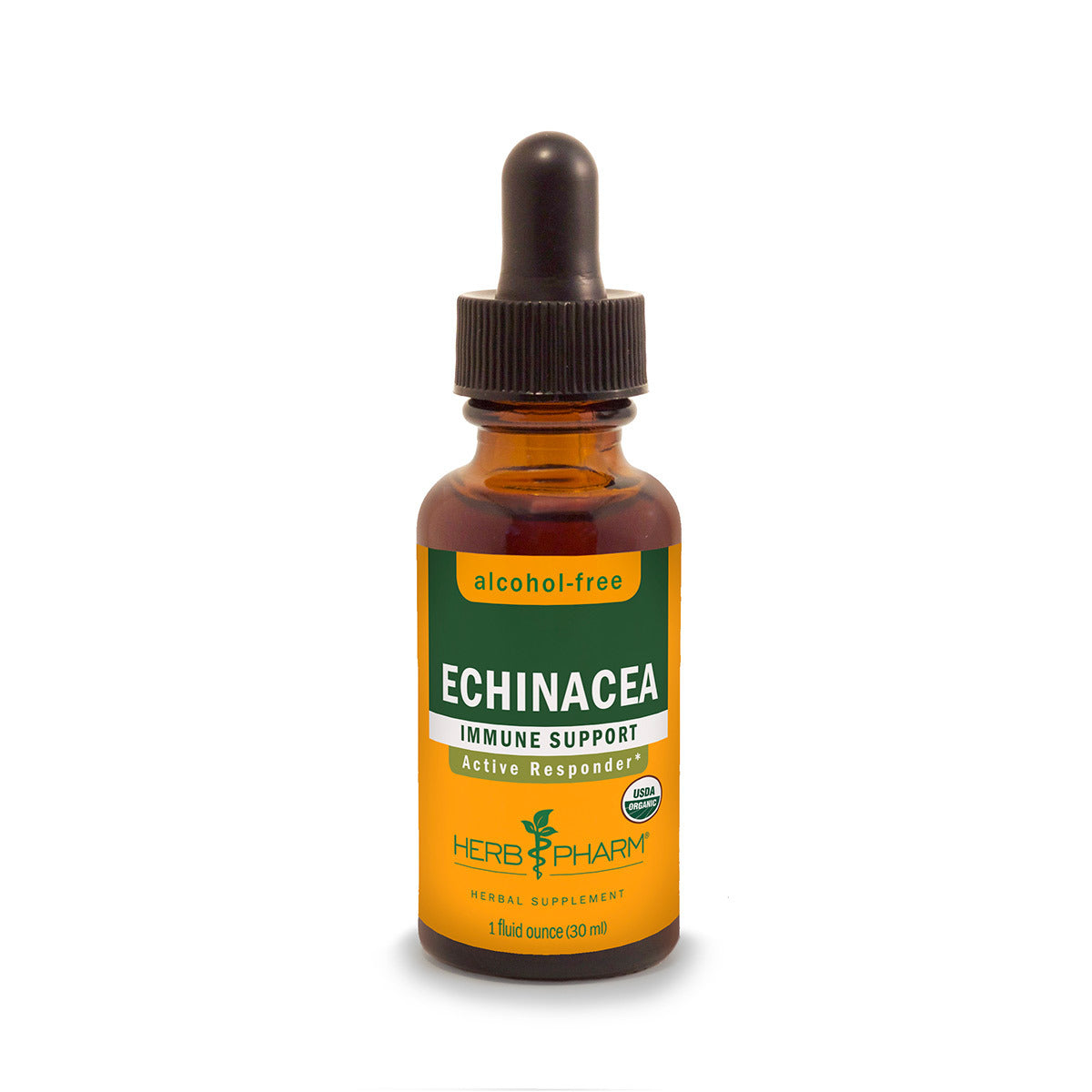 Primary image of Echinacea Glycerite