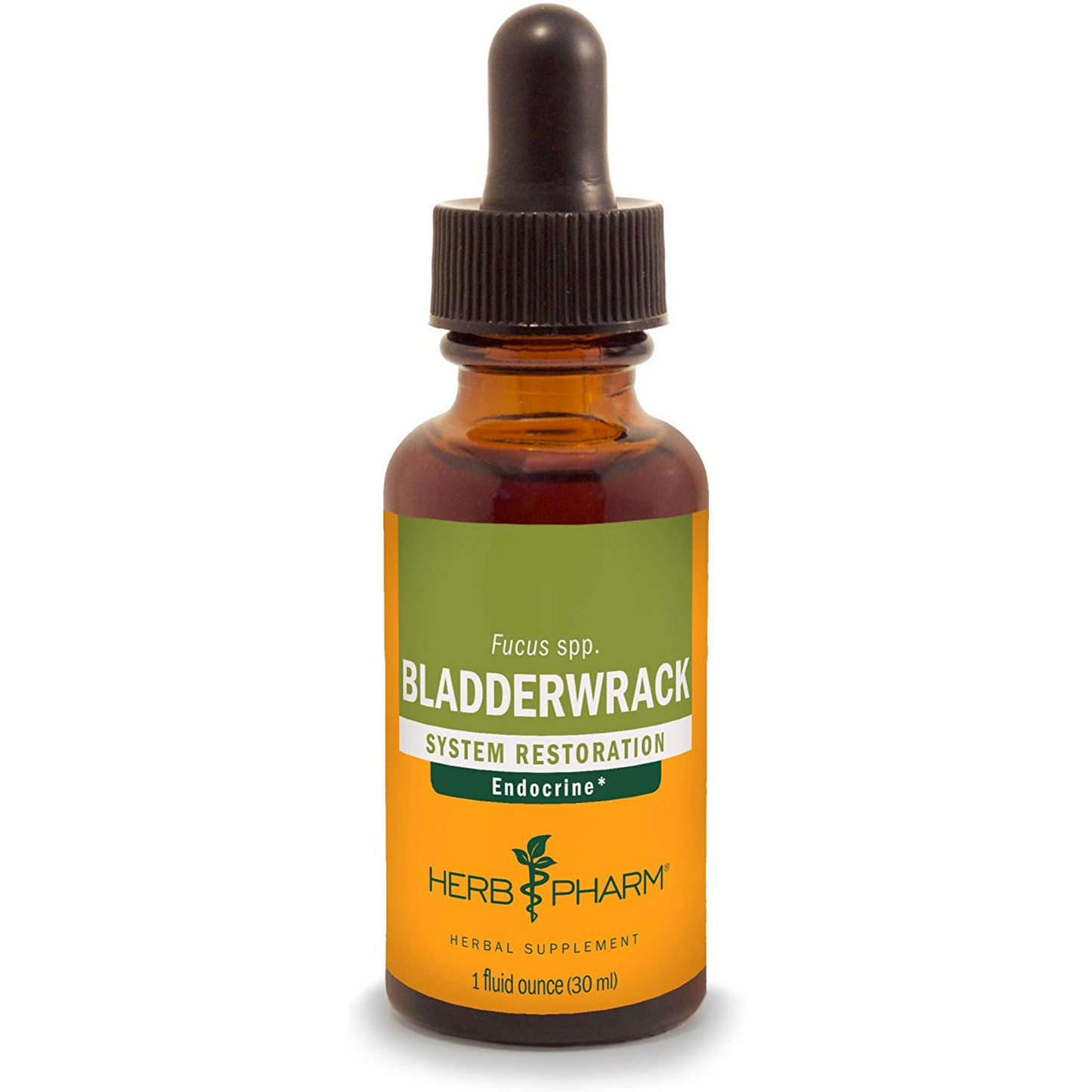 Primary Image of Bladderwrack Extract