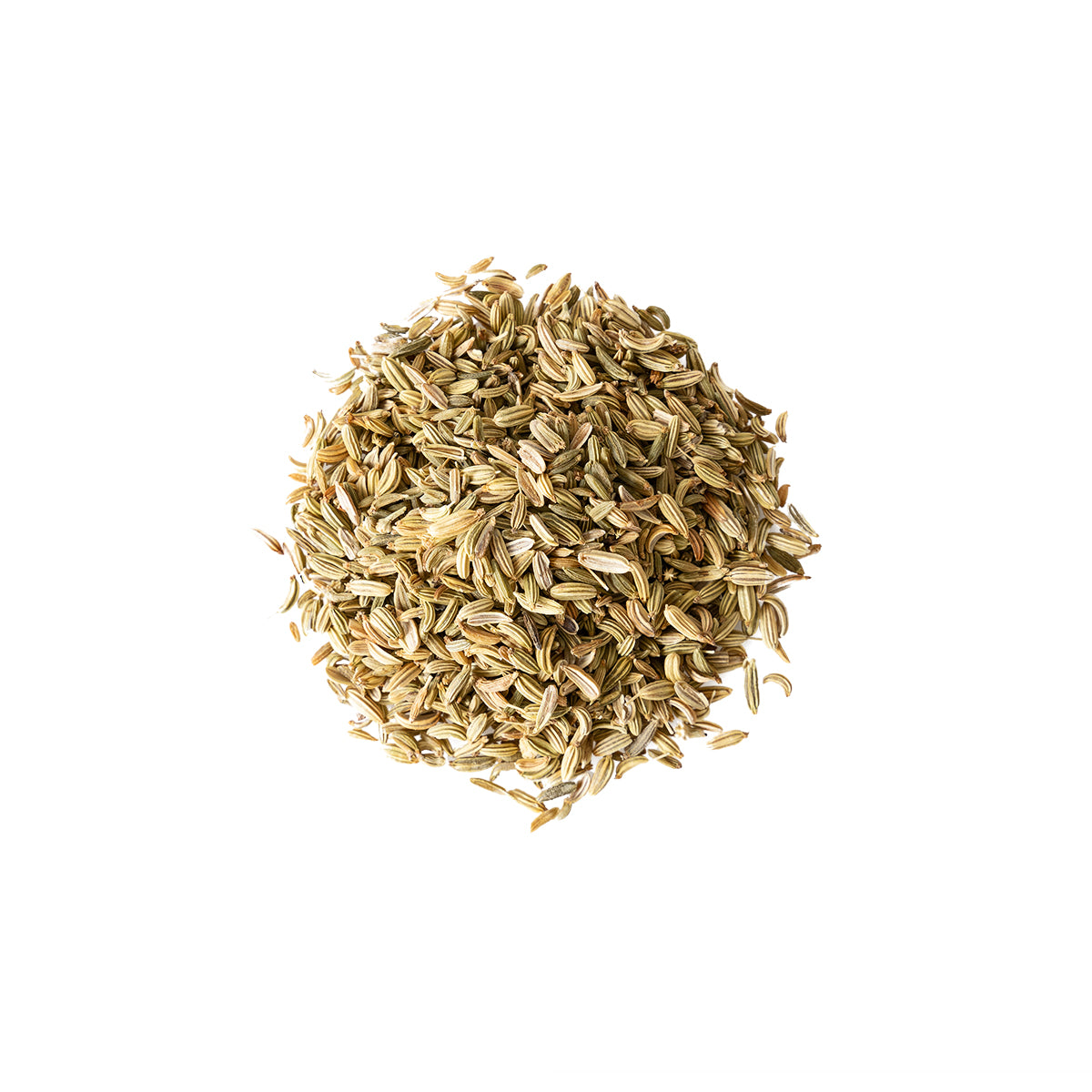 Primary Image of Fennel Seed (Foeniculum vulgare)