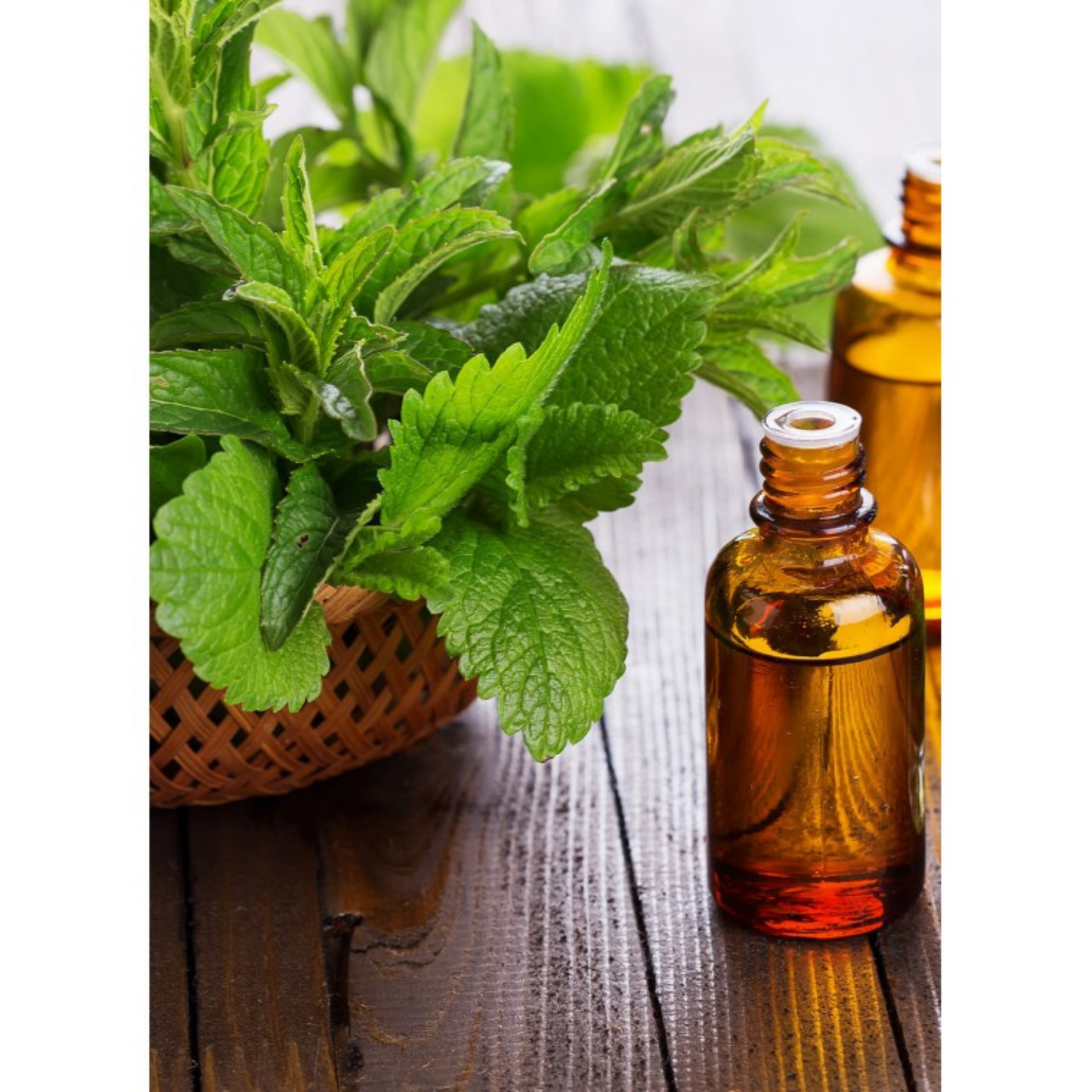 Auroma Peppermint Mitcham Essential Oil (0.33 fl oz) #10251