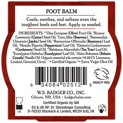 Alternate Image of Foot Balm Small Tin Back 